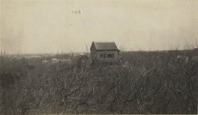 Schilderhuisje van Sientje Mesdag-van Houten in de duinen, jaar onbekend (foto: Haags Gemeentearchief)