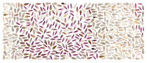 Anne Geene, Magnolia, 2024, inktjet op archival mat, 110 x 280 cm